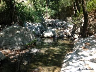 ldaia del Drago25-07-2015 20-35-38